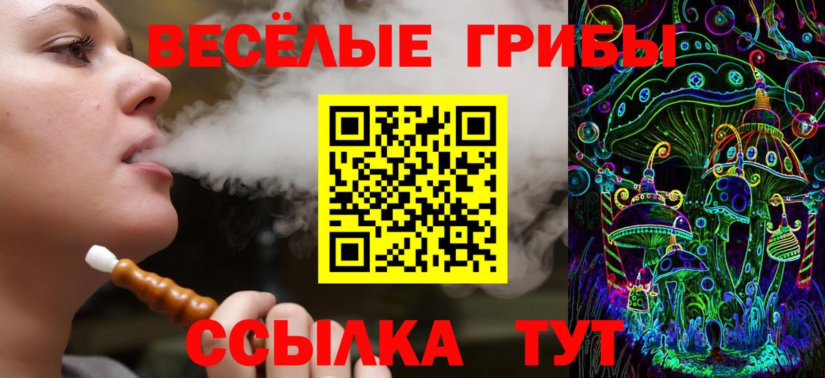 Заволжье  Псилоцибиновые грибы ЛСД  Вход с VPN 
